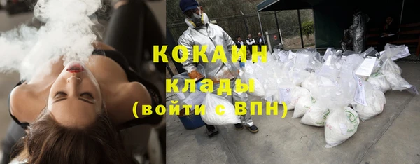 хмурый Бородино