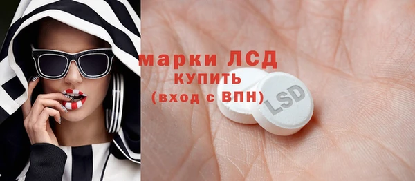 хмурый Бородино