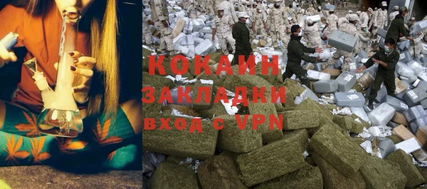 хмурый Бородино
