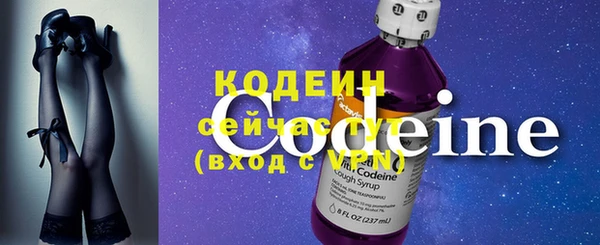 хмурый Бородино